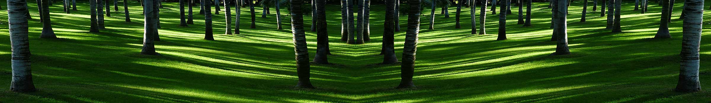 meadow-406514_1920__1200x350